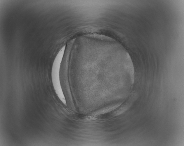 X0000054410624200508192033