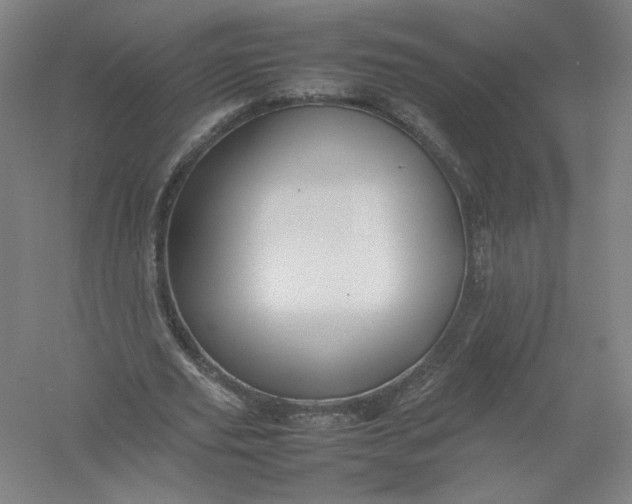 X0000054410629200508192032