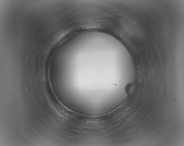 X0000054410631200508192032