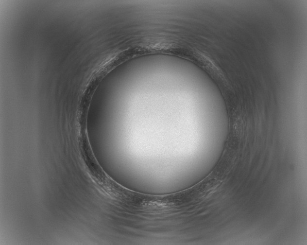 X0000054410635200508192032
