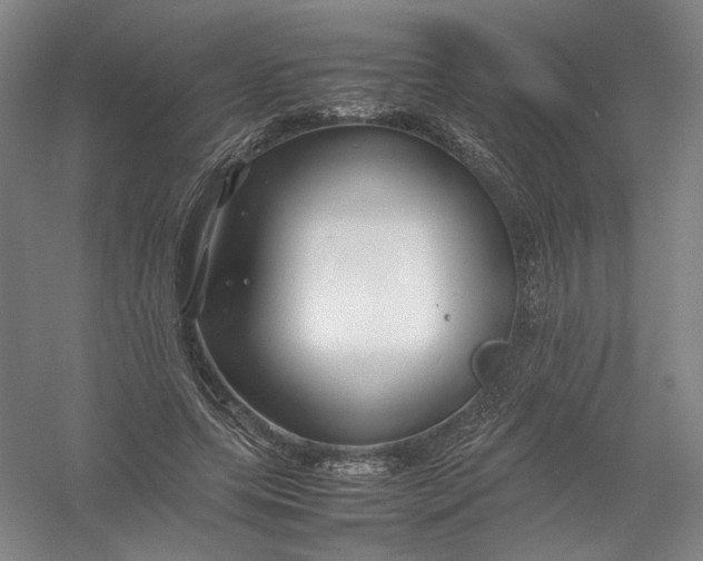 X0000054410639200508192032