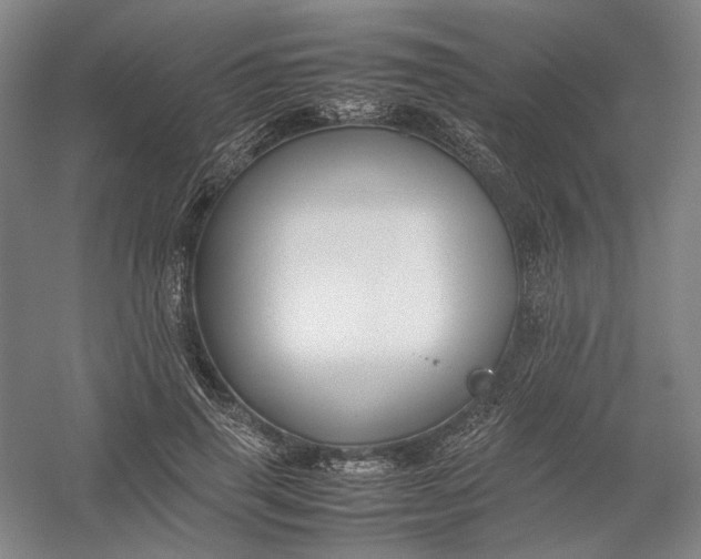 X0000054410645200508192032