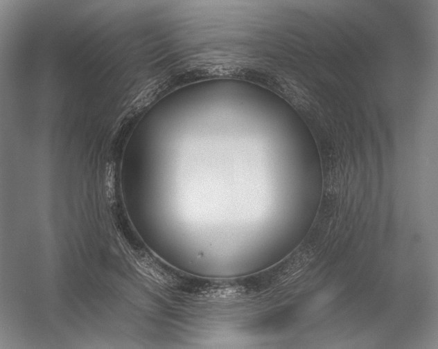 X0000054410646200508192032