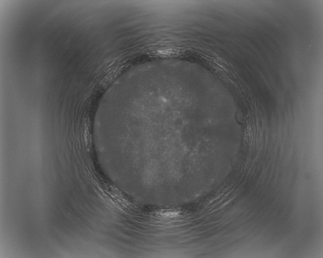 X0000054410651200508192032