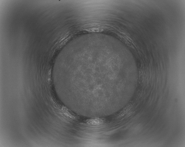 X0000054410652200508192032