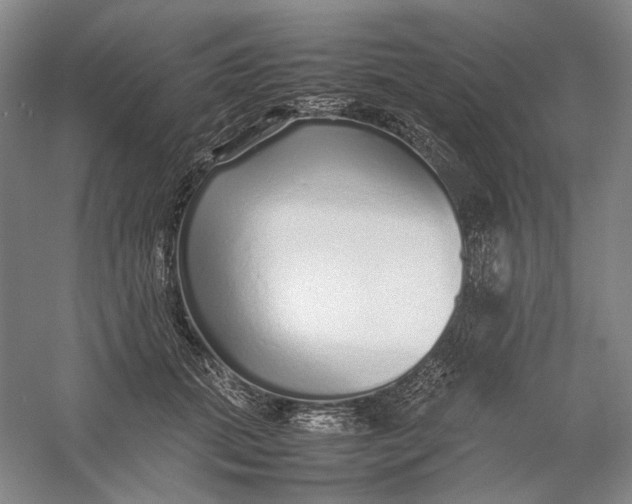 X0000054410655200508192032