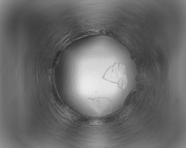 X0000054410656200508192032