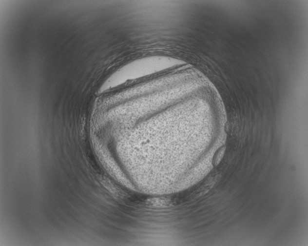 X0000054410660200508192032
