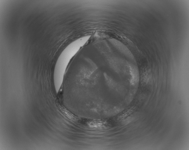 X0000054410661200508192032