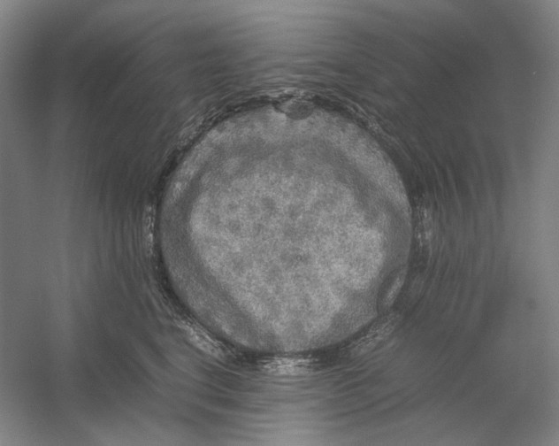 X0000054410664200508192032