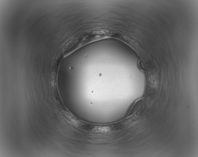 X0000054410665200508192032