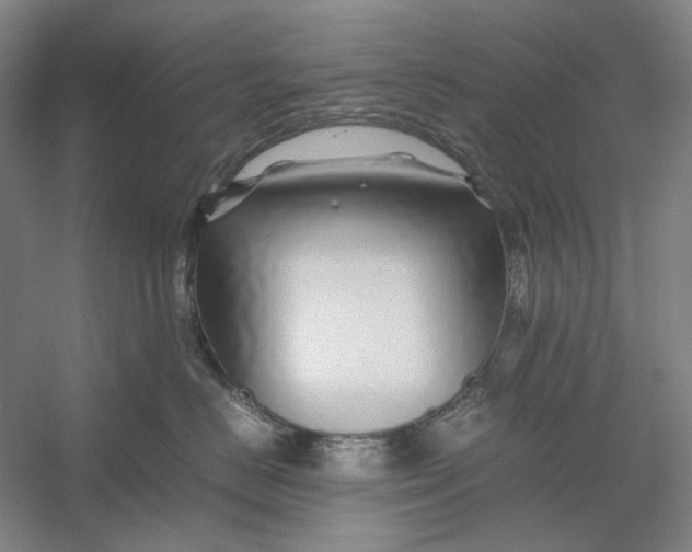 X0000054410670200508192033