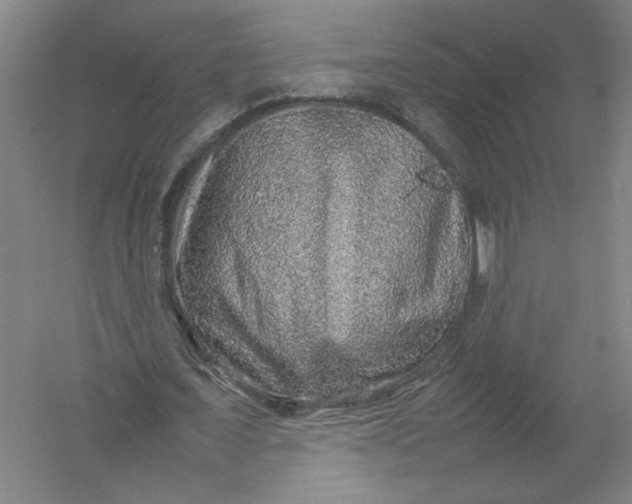 X0000054410675200508192032