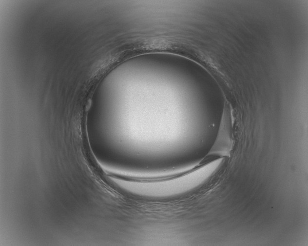 X0000054410681200508192032