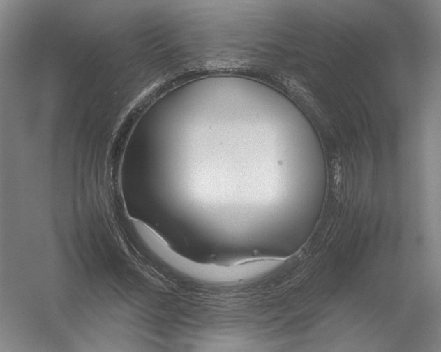 X0000054410684200508192032