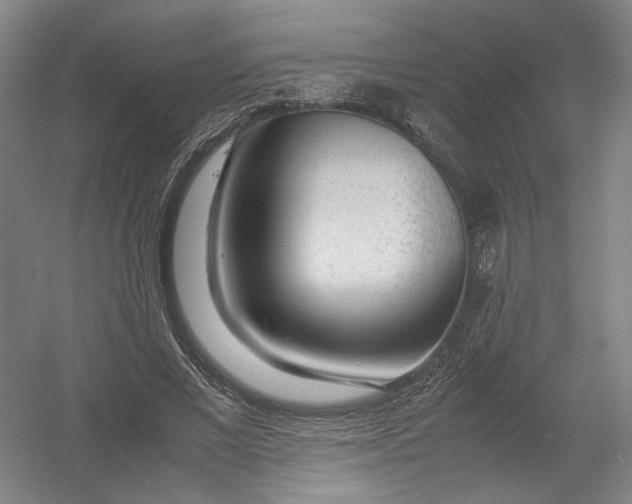 X0000054410685200508192032