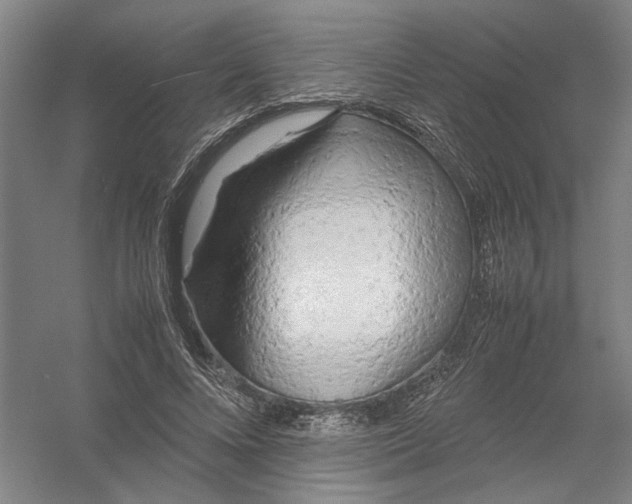 X0000054410688200508192032