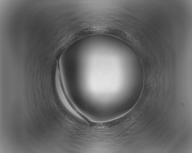 X0000054410689200508192031