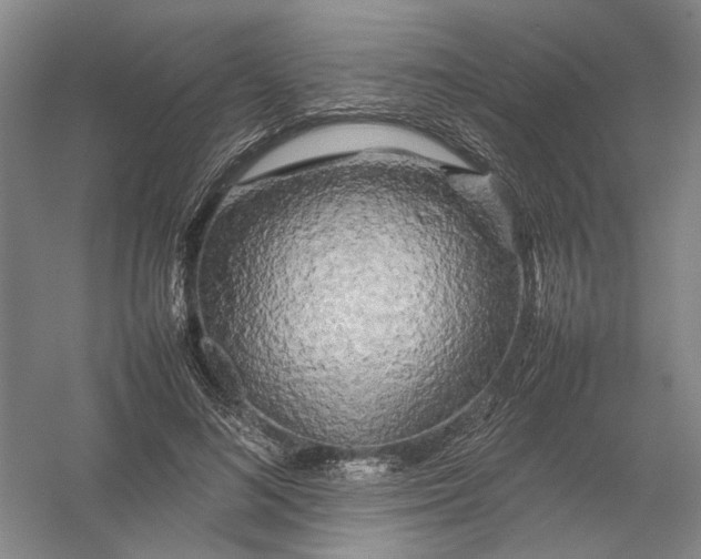 X0000054410692200508192031