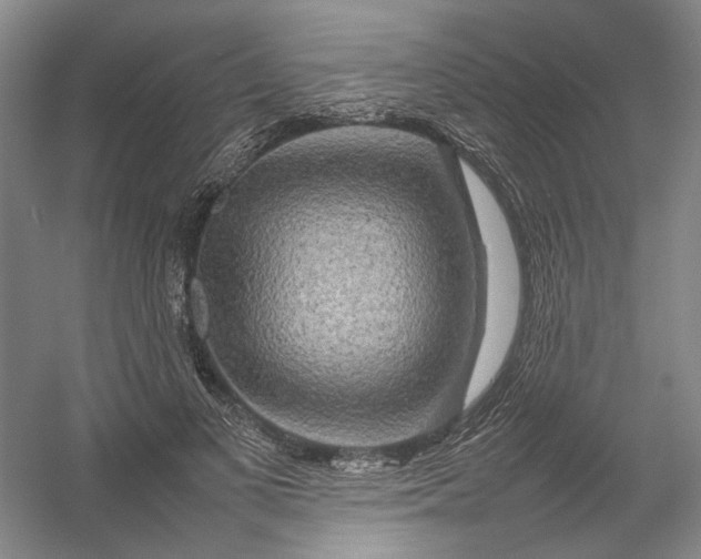 X0000054410693200508192031