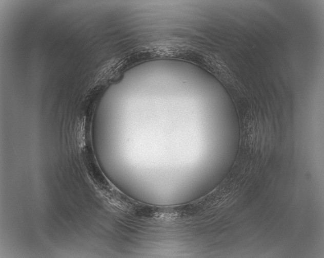 X0000054410694200508192031