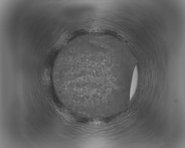 X0000054410695200508192031