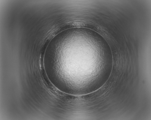 X0000054410696200508192031