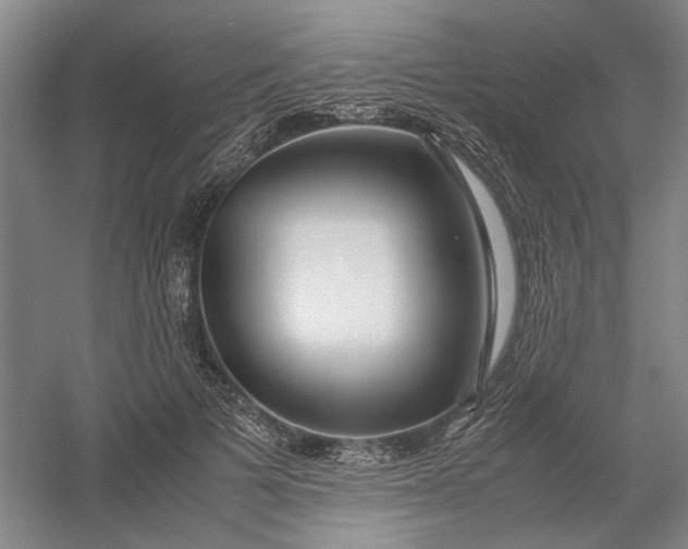 X0000054410697200508192031