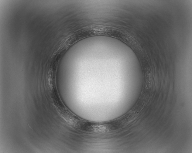 X0000054410698200508192031