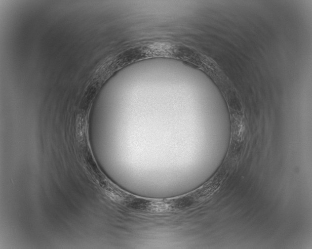 X0000054410701200508192031