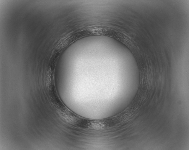 X0000054410702200508192031
