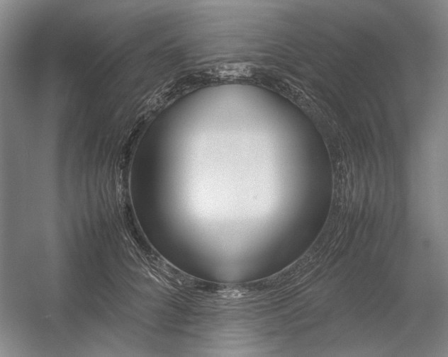 X0000054410704200508192031