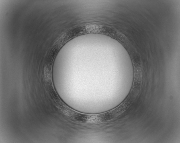X0000054410705200508192031