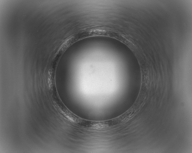 X0000054410708200508192031