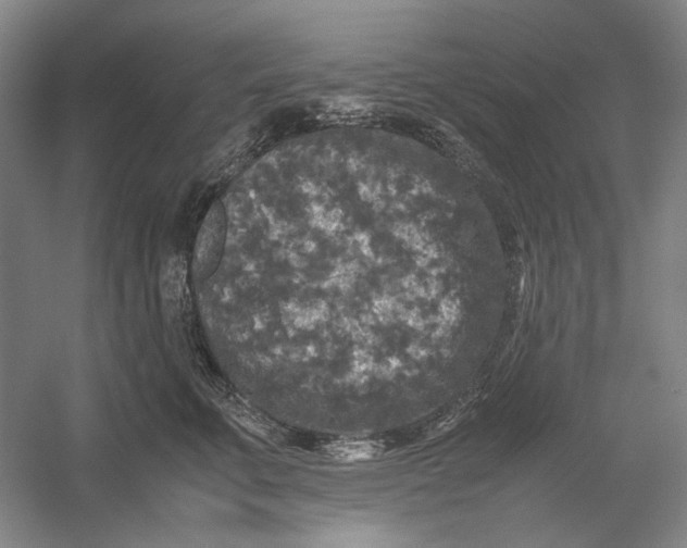X0000054410711200508192031