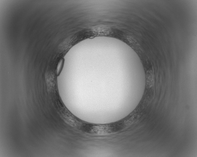 X0000054410713200508192031