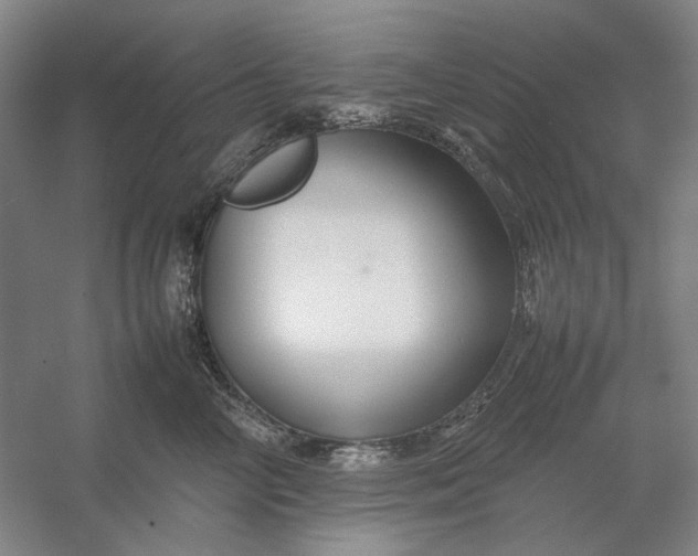 X0000054410714200508192031