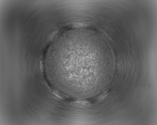 X0000054410716200508192031