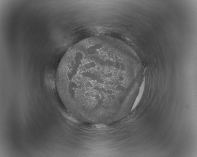 X0000054410719200508192031