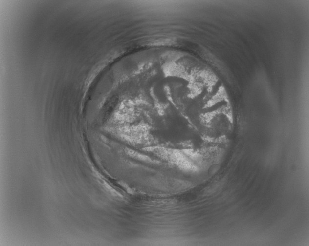 X0000054410721200508192030