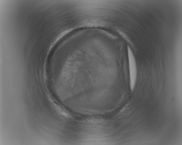 X0000054410722200508192030