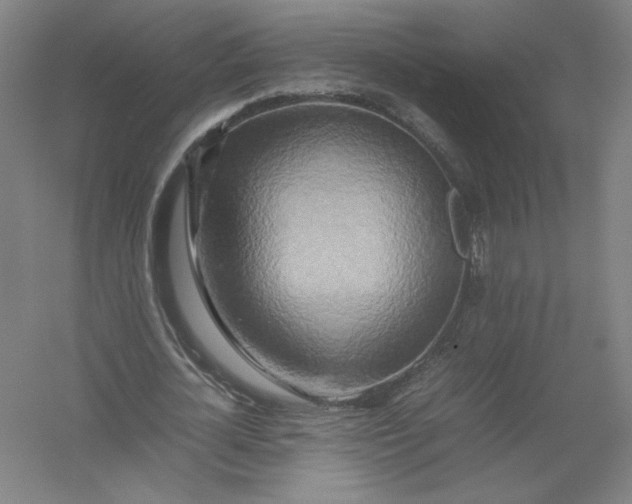 X0000054410724200508192030