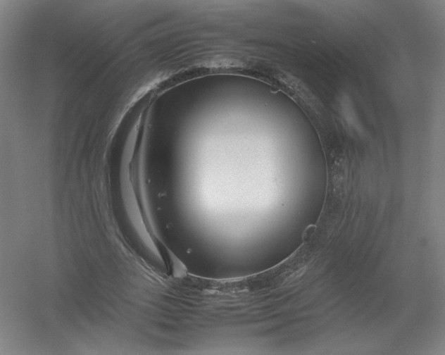 X0000054410727200508192030