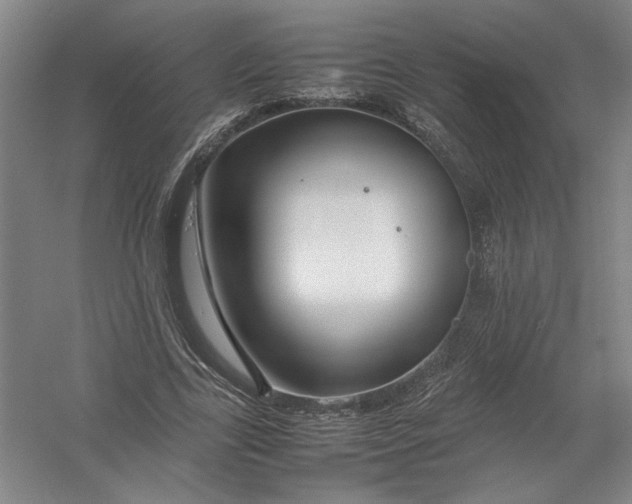 X0000054410731200508192030