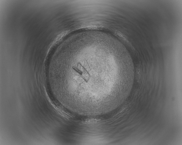 X0000054410734200508192030