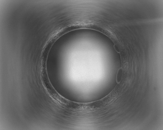 X0000054410736200508192030