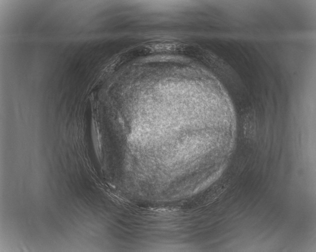 X0000054410737200508192030