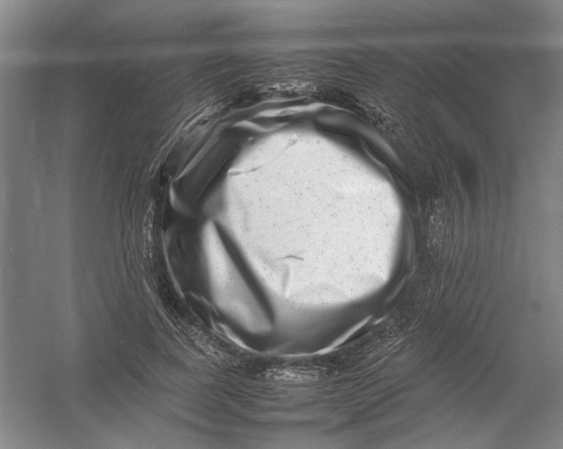 X0000054410739200508192030
