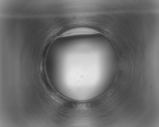 X0000054410740200508192030