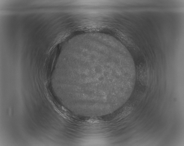 X0000054410742200508192031